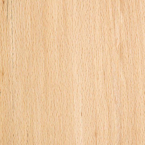 قوام خشب الزان - Beech wood texture